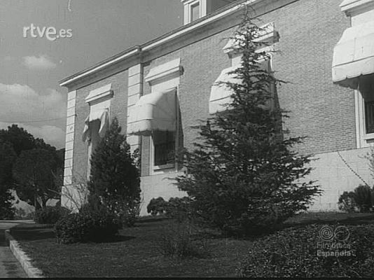 NO-DO - NOT N 1731 B