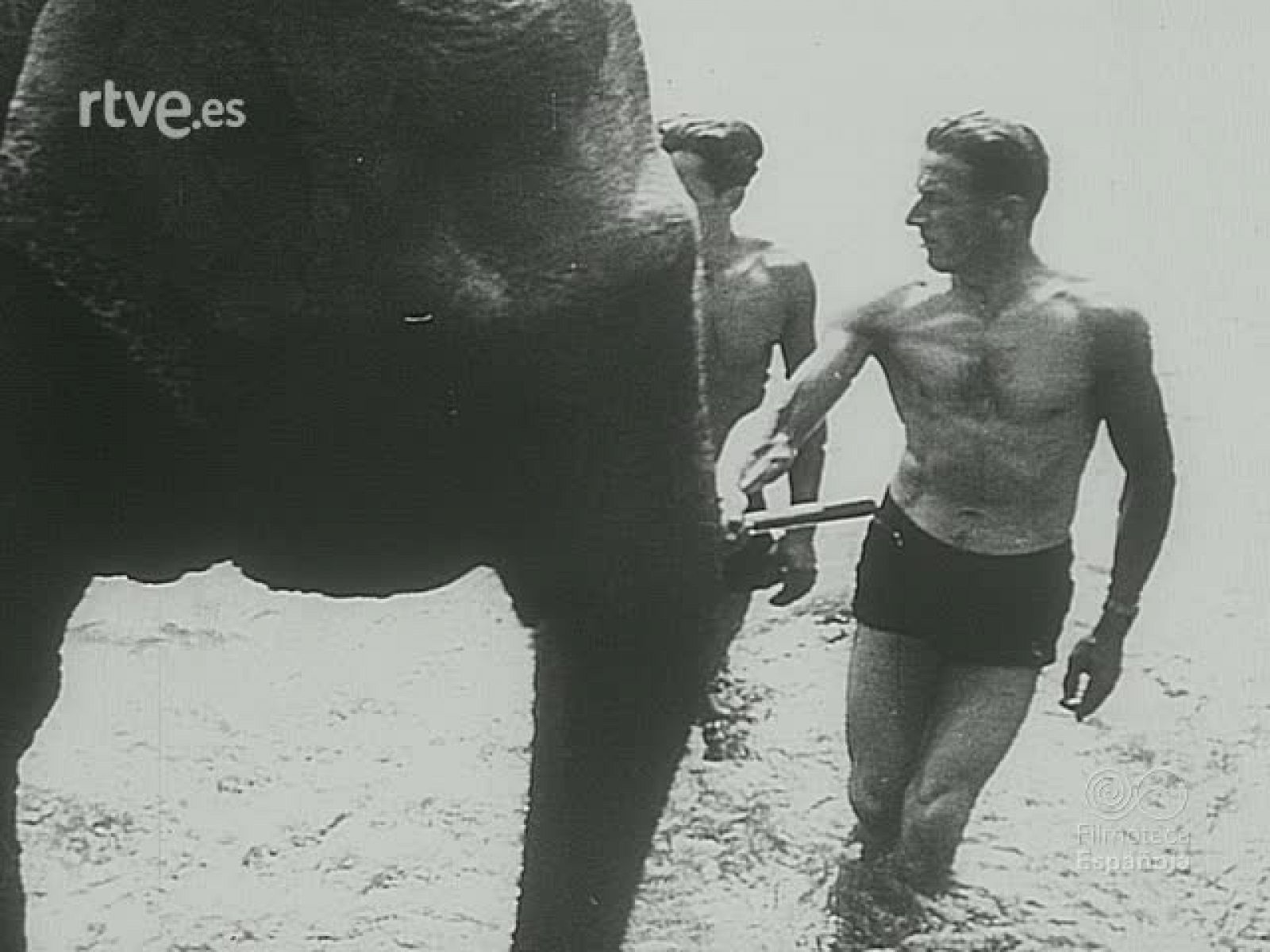 NOT N 108 A - NO-DO | Ver