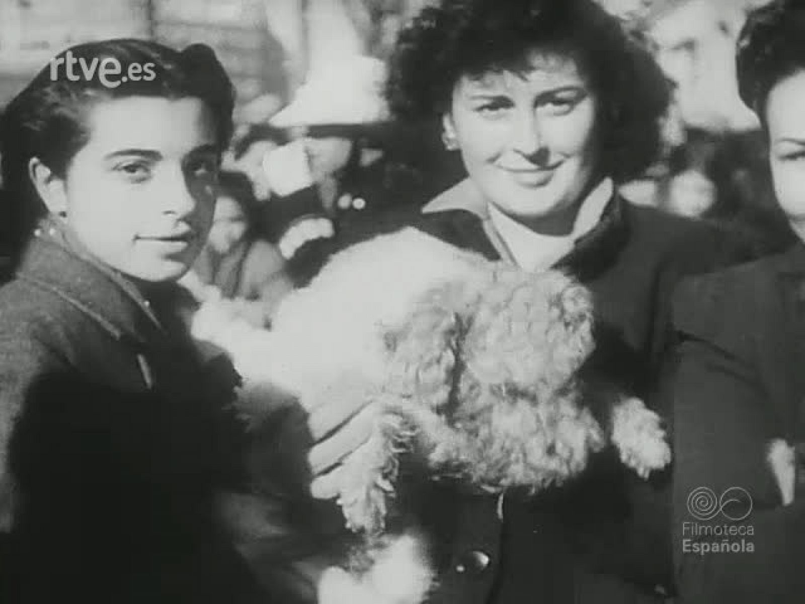 NOT N 109 A - NO-DO | Ver