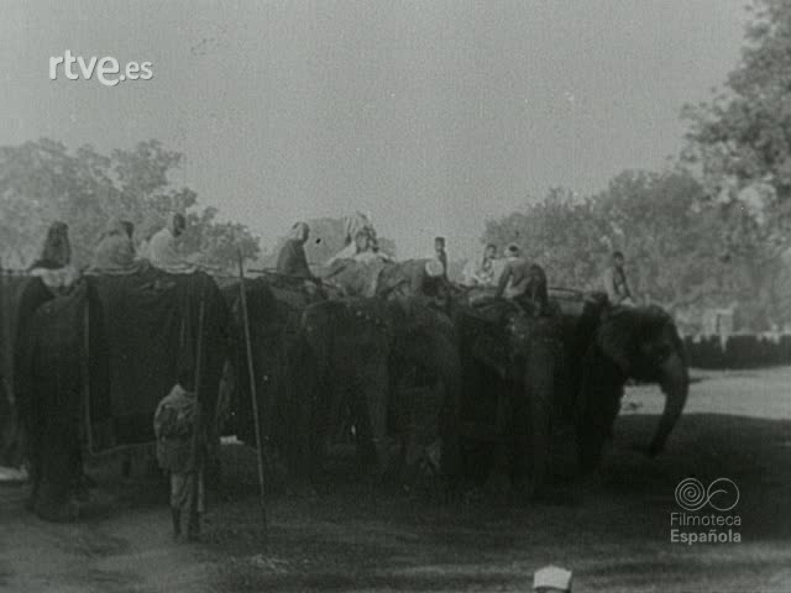 NOT N 214 A - NO-DO | Ver