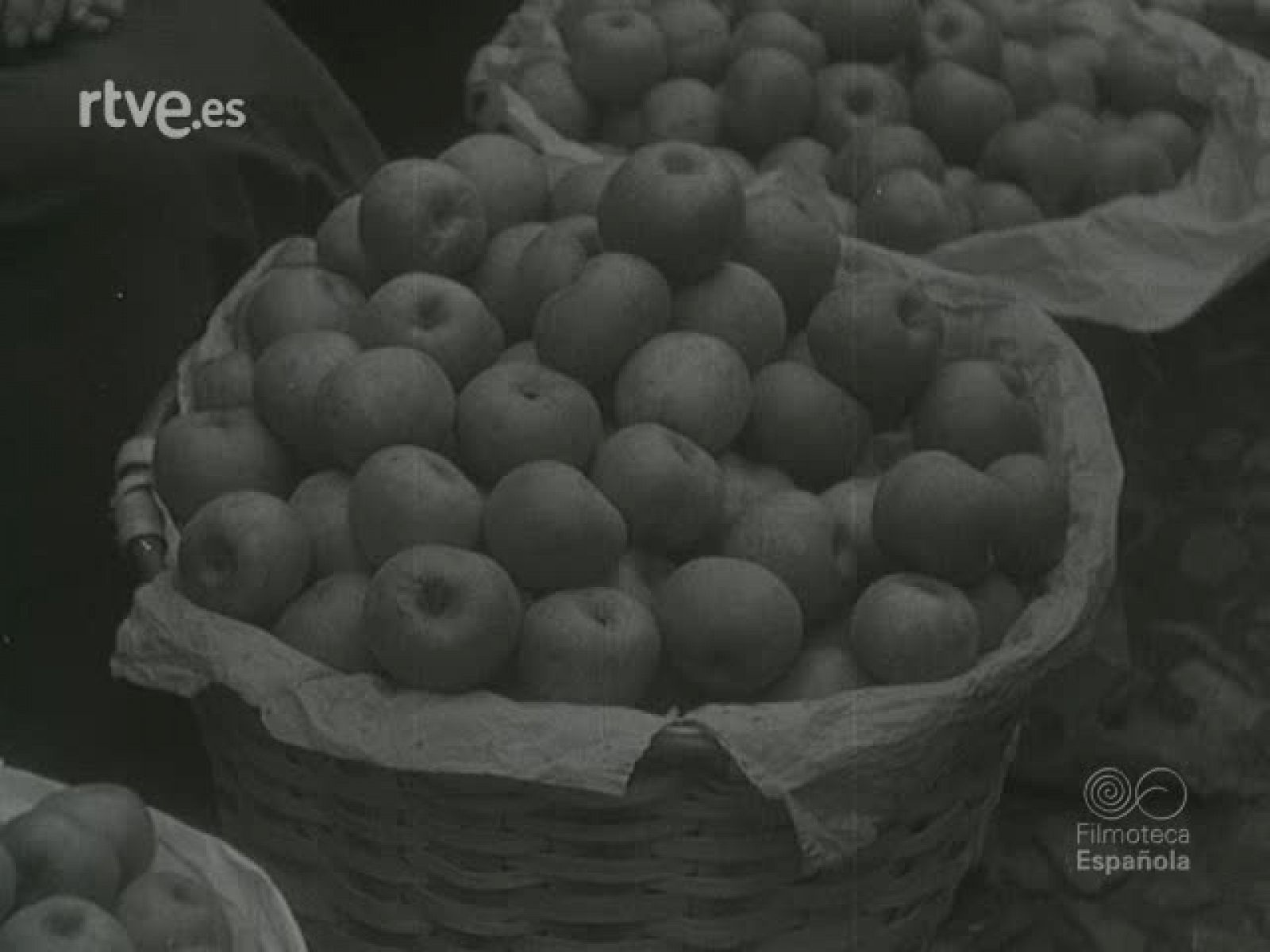 NOT N 317 B - NO-DO | Ver