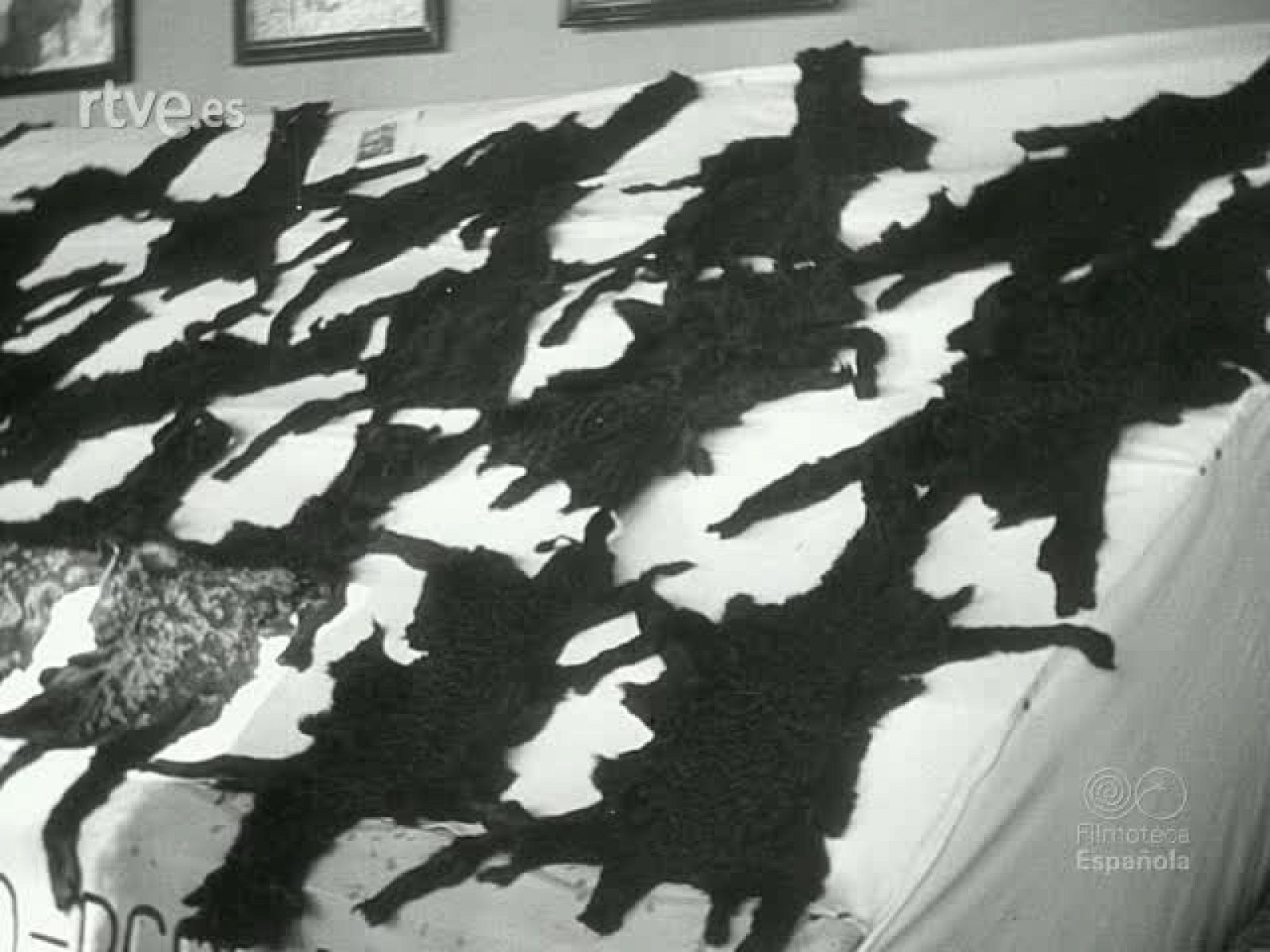 NOT N 199 B - NO-DO | Ver