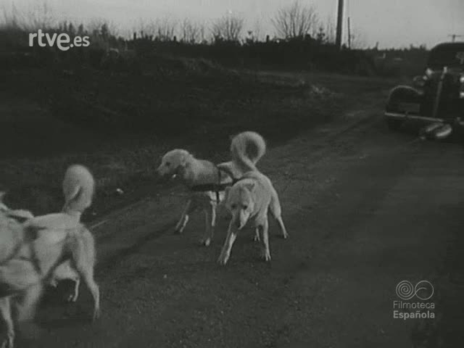 NOT N 318 B - NO-DO | Ver