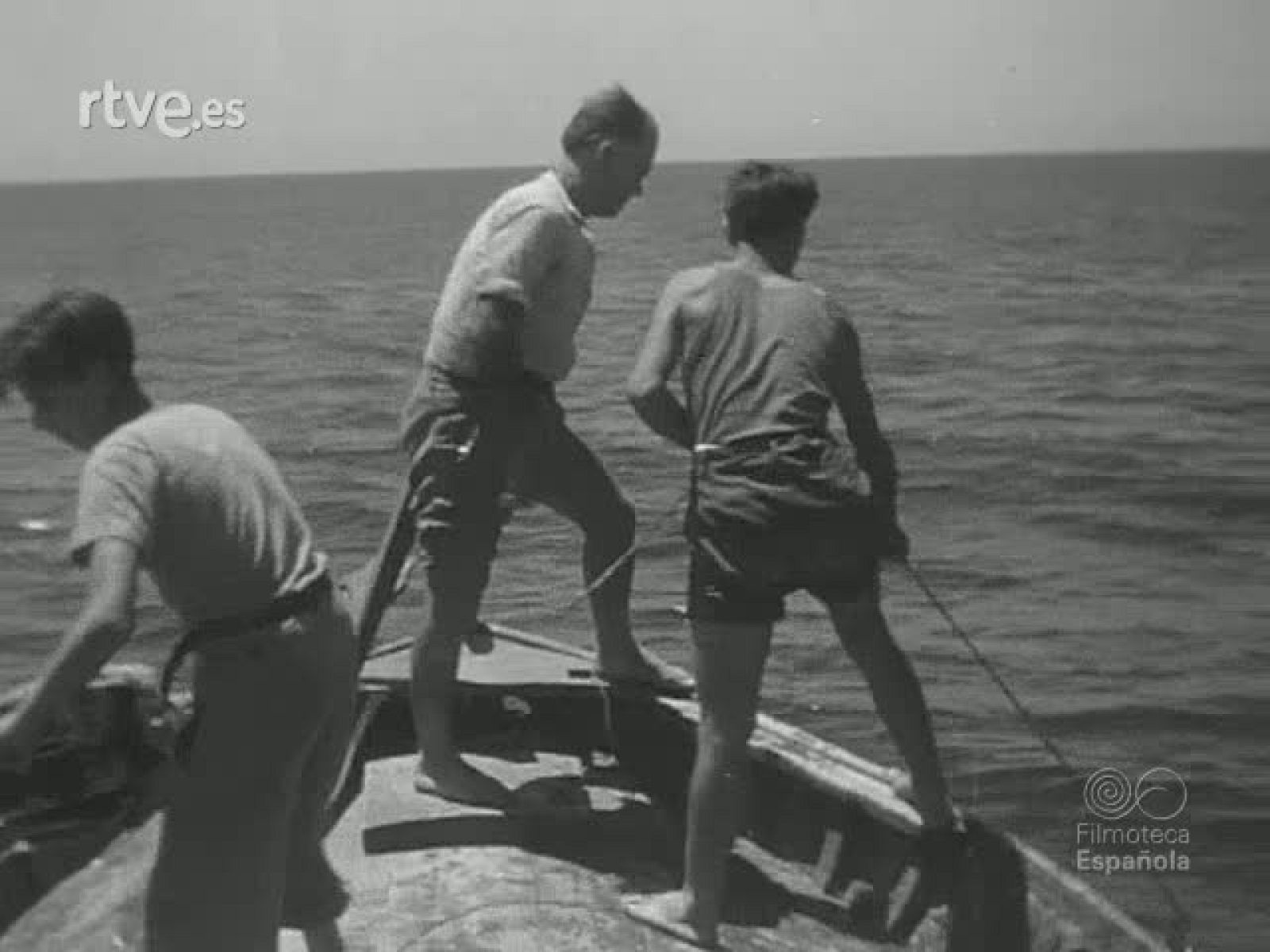 NOT N 310 B - NO-DO | Ver