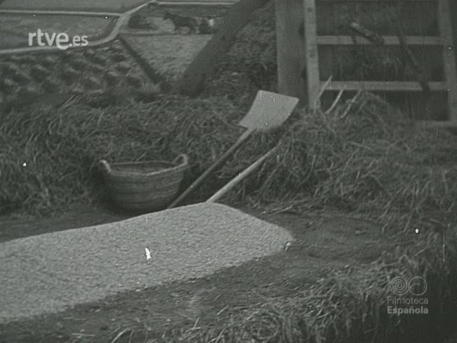 NOT N 177 B - NO-DO | Ver