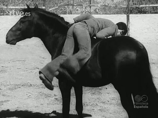 NO-DO - NOT N 1786 B