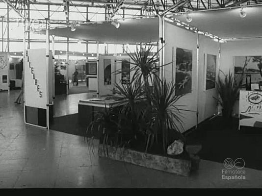 NO-DO - NOT N 1783 B