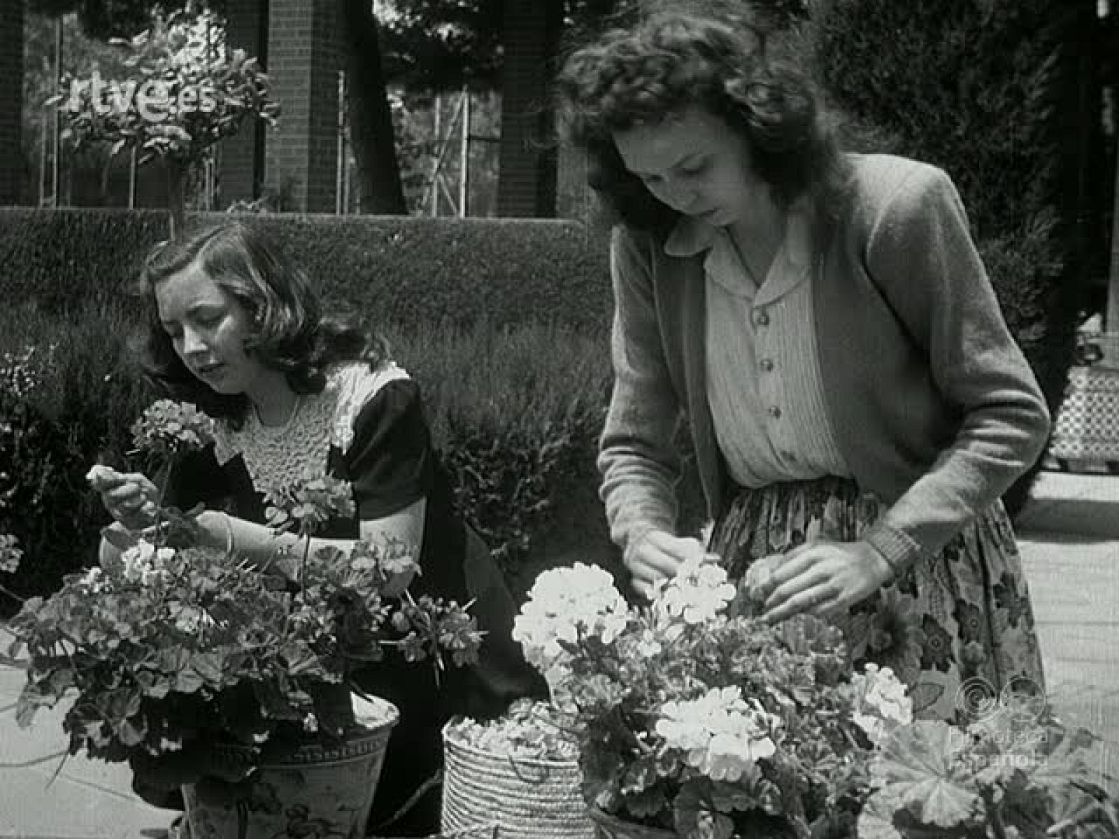 NOT N 191 B - NO-DO | Ver