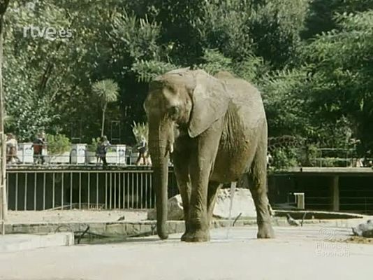 NO-DO - NOT N 1921 .