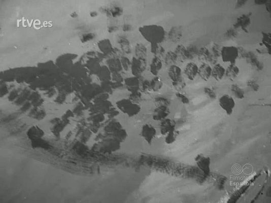 NO-DO - NOT N 1797 A