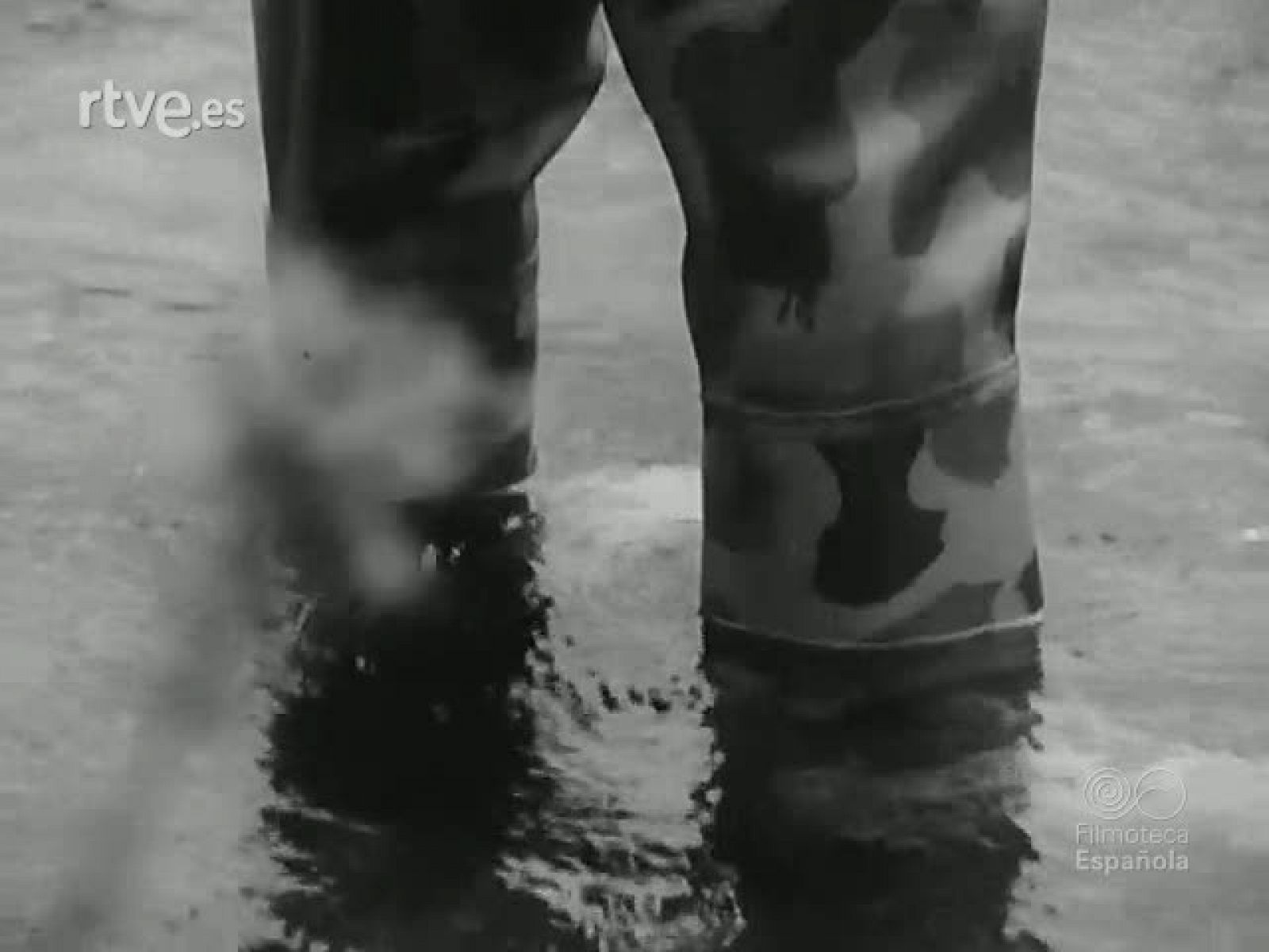 NOT N 1796 A - NO-DO | Ver