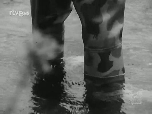 NO-DO - NOT N 1796 A