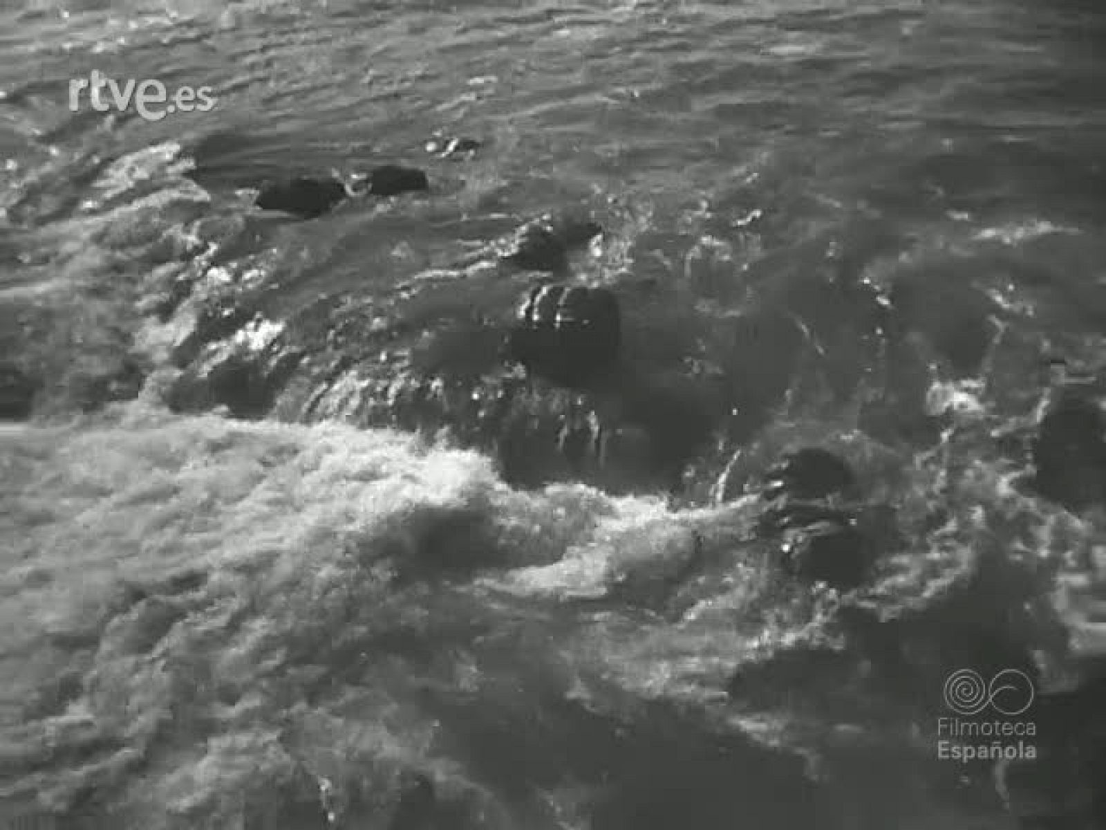 NOT N 229 B - NO-DO | Ver