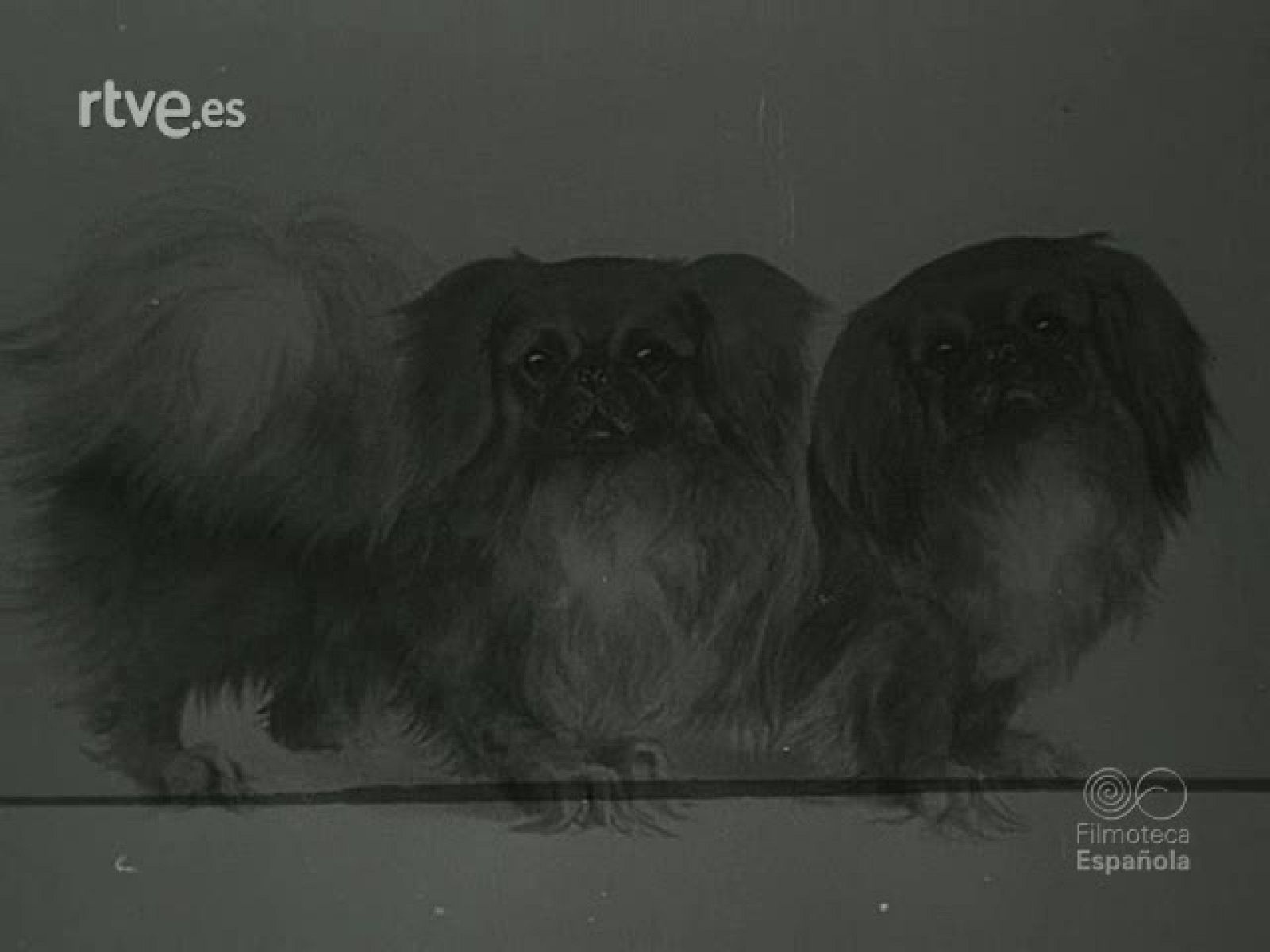 NOT N 230 B - NO-DO | Ver