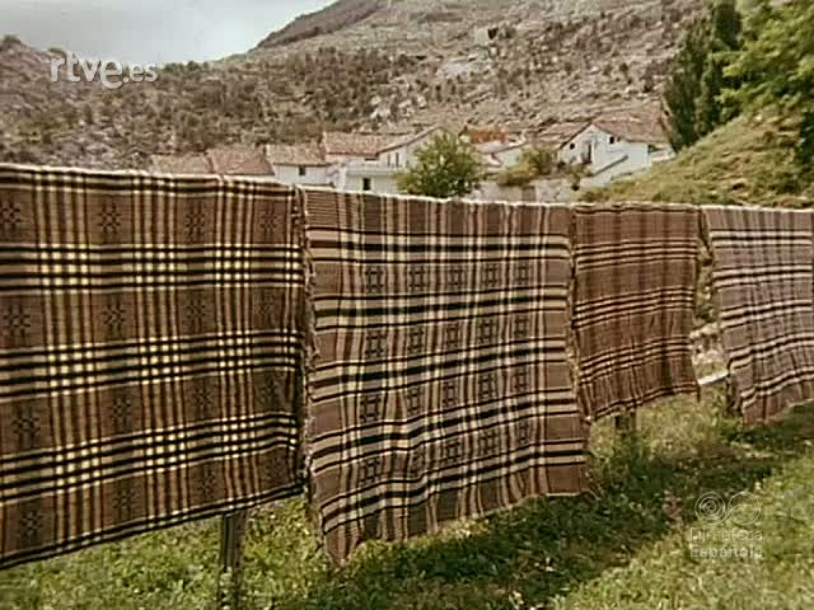 NOT N 1800 . - NO-DO | Ver