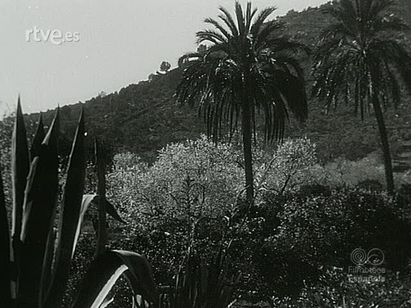 NOT N 217 B - NO-DO | Ver