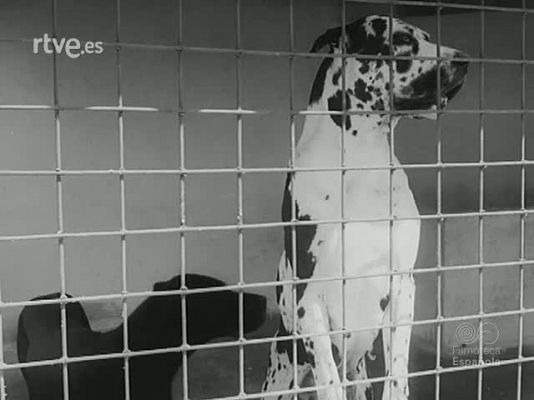 NO-DO - NOT N 1745 A