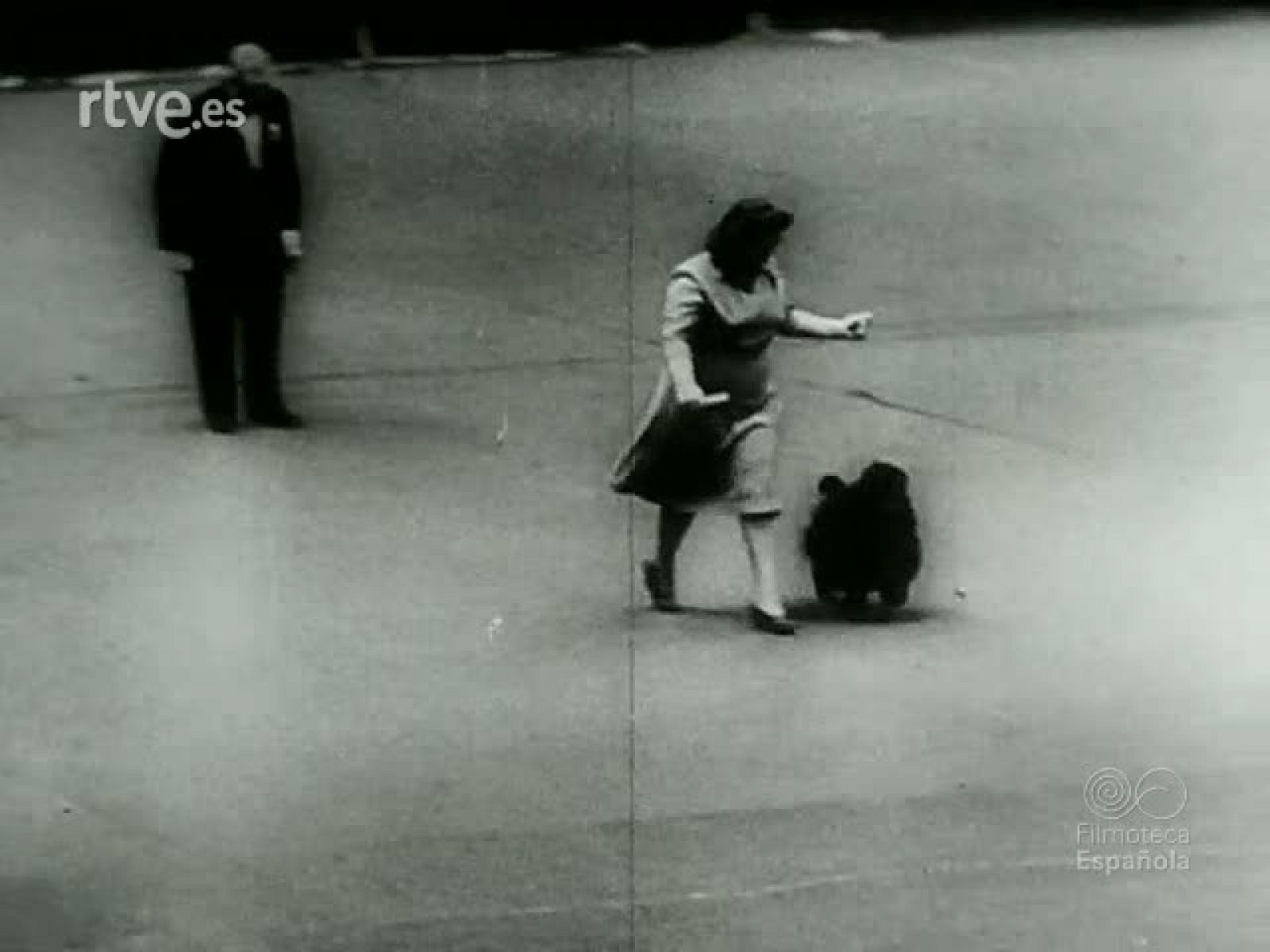 NOT N 93 B - NO-DO | Ver