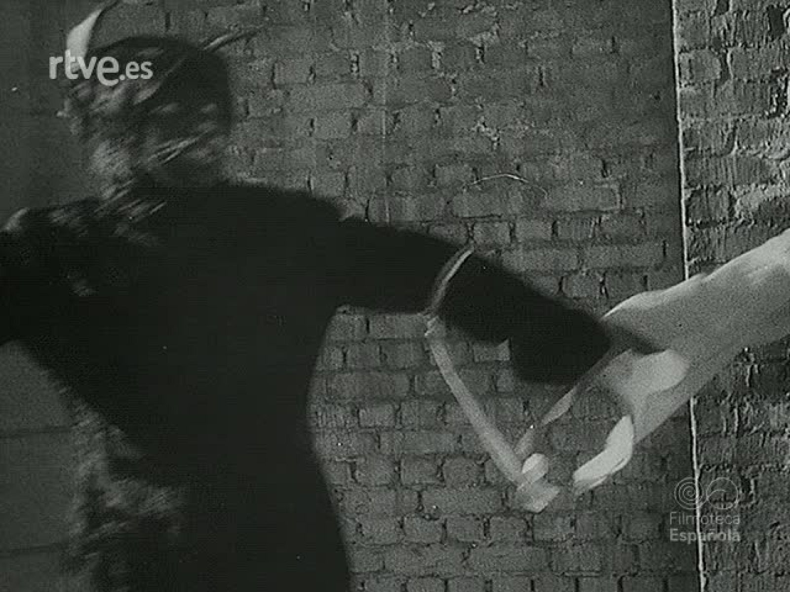 NOT N 221 A - NO-DO | Ver