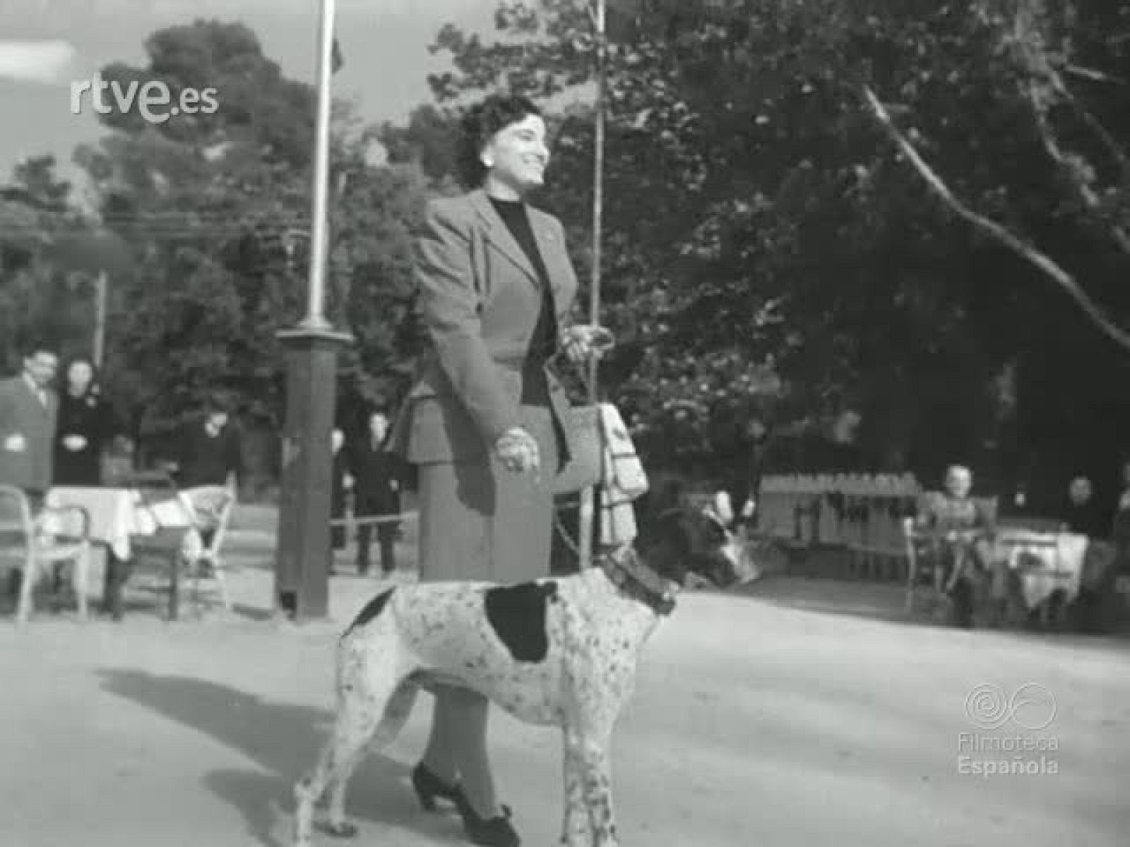 NOT N 335 B - NO-DO | Ver