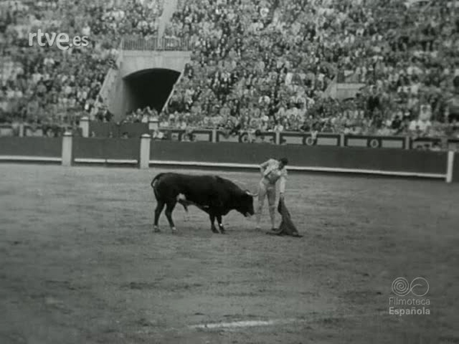 NOT N 334 B - NO-DO | Ver