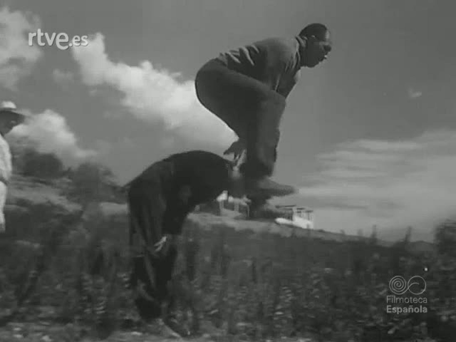 NOT N 250 B - NO-DO | Ver