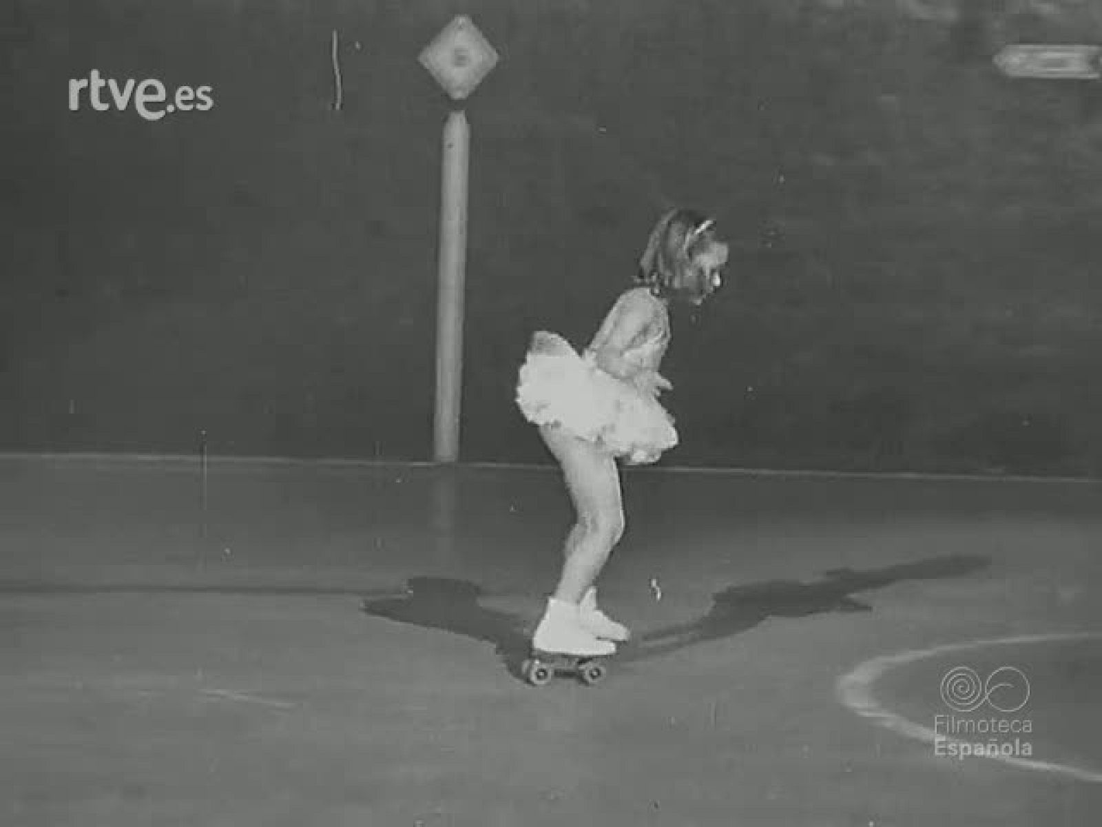 NOT N 260 B - NO-DO | Ver