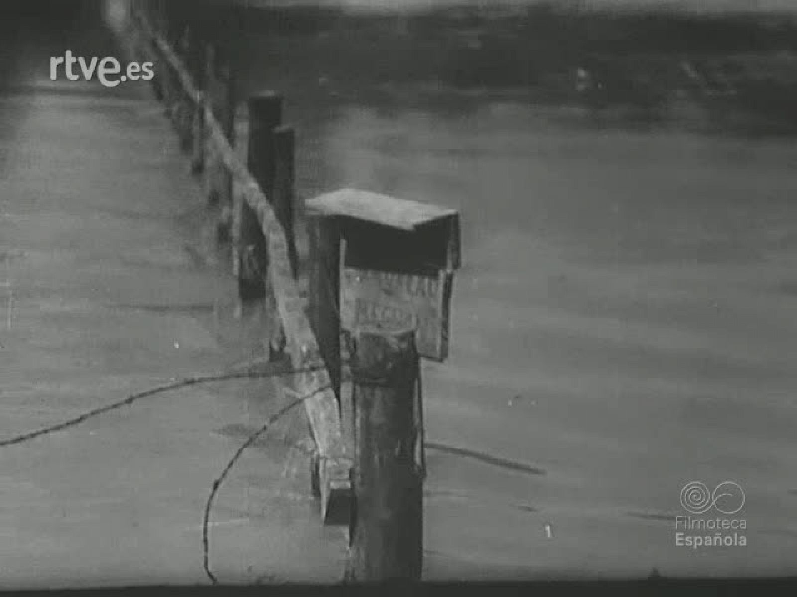 NOT N 290 A - NO-DO | Ver