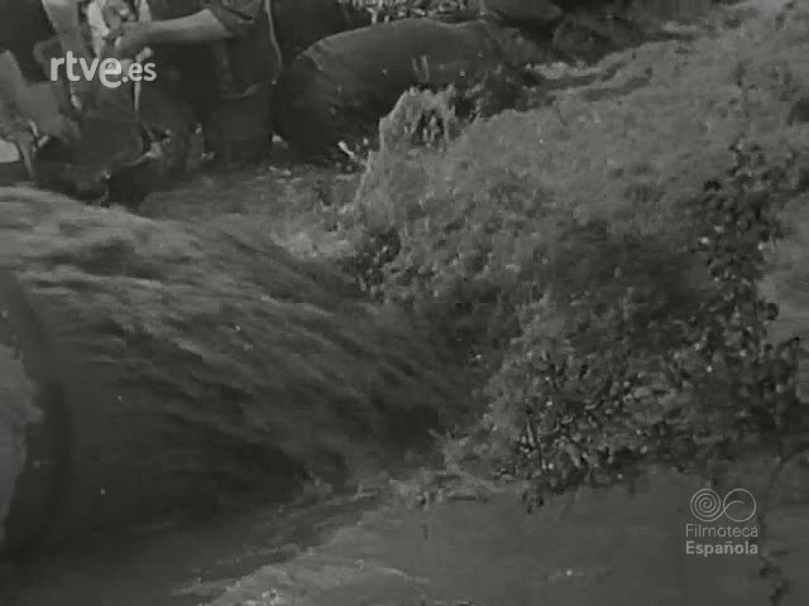 NOT N 259 B - NO-DO | Ver