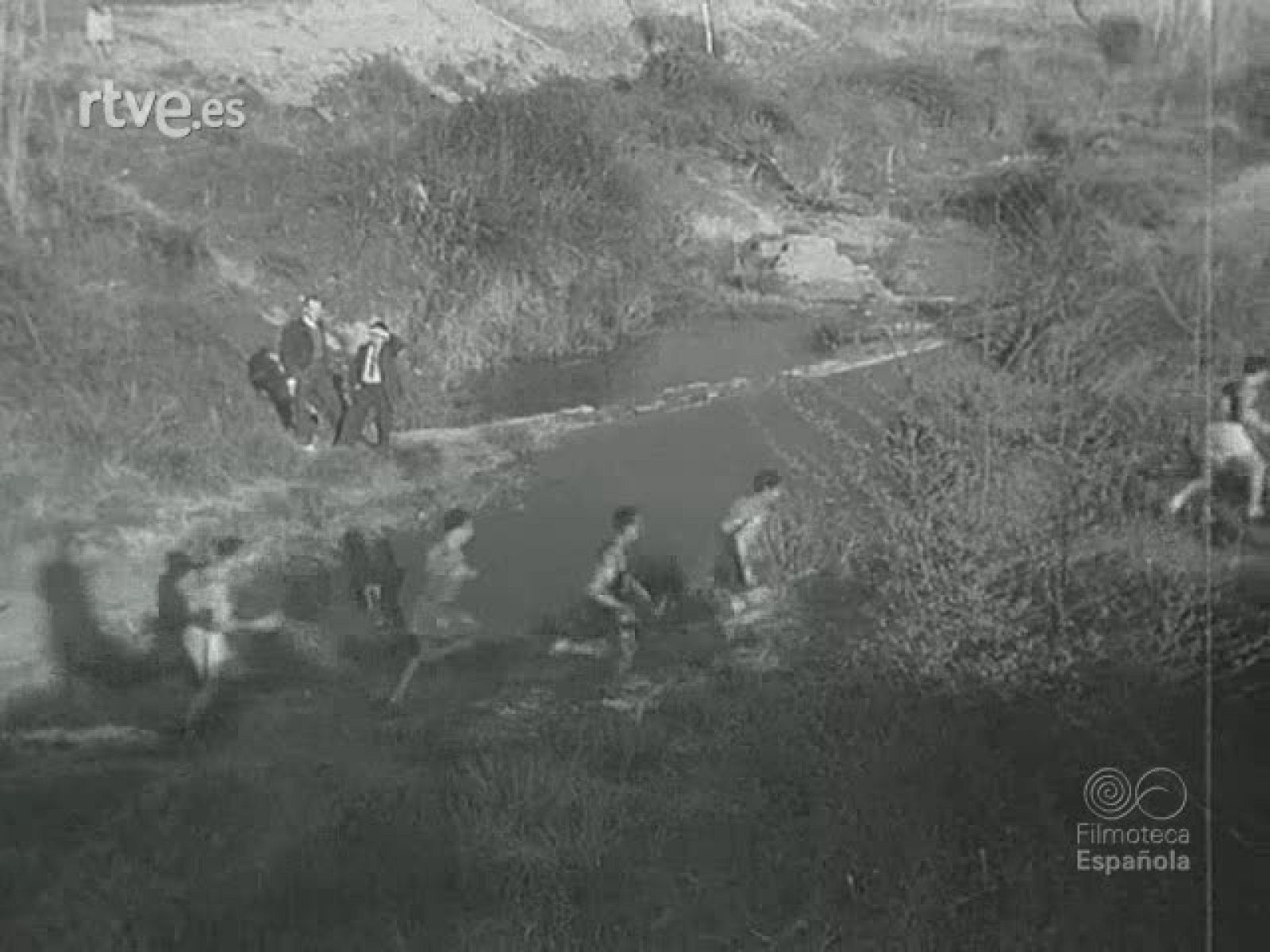 NOT N 273 A - NO-DO | Ver