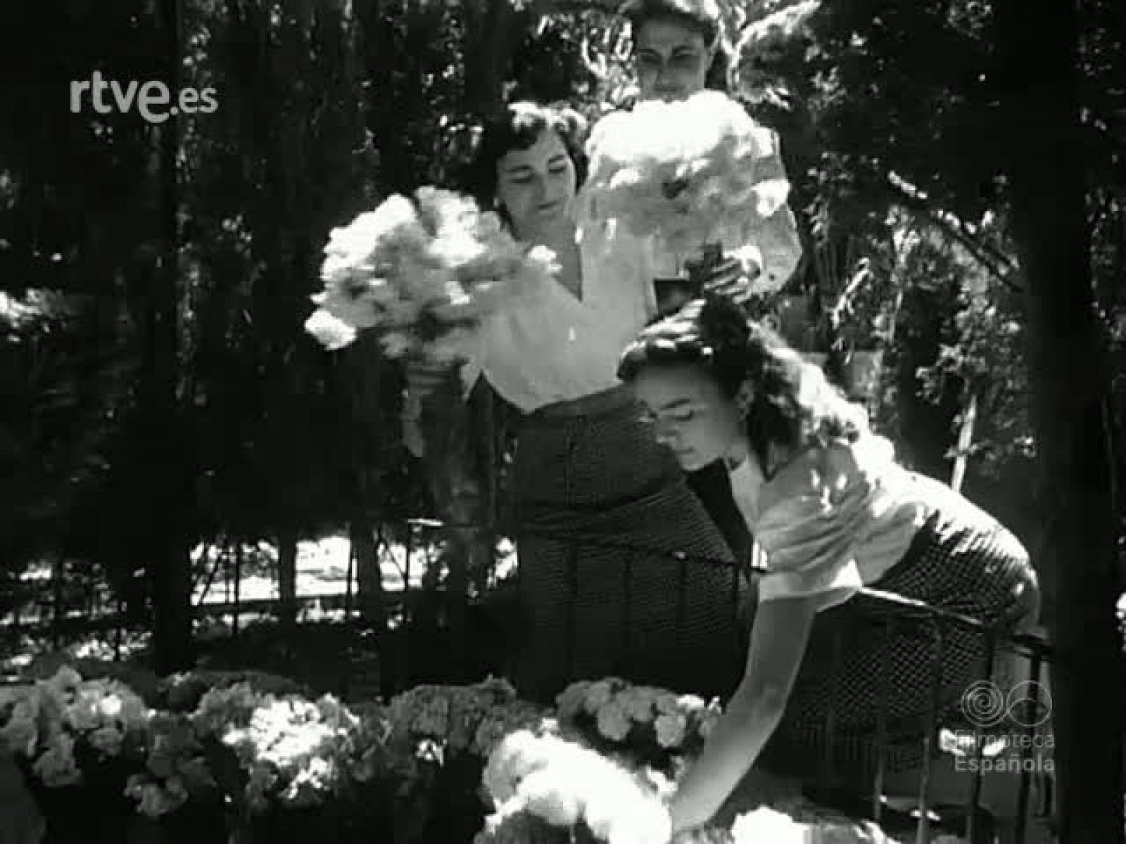 NOT N 388 B - NO-DO | Ver