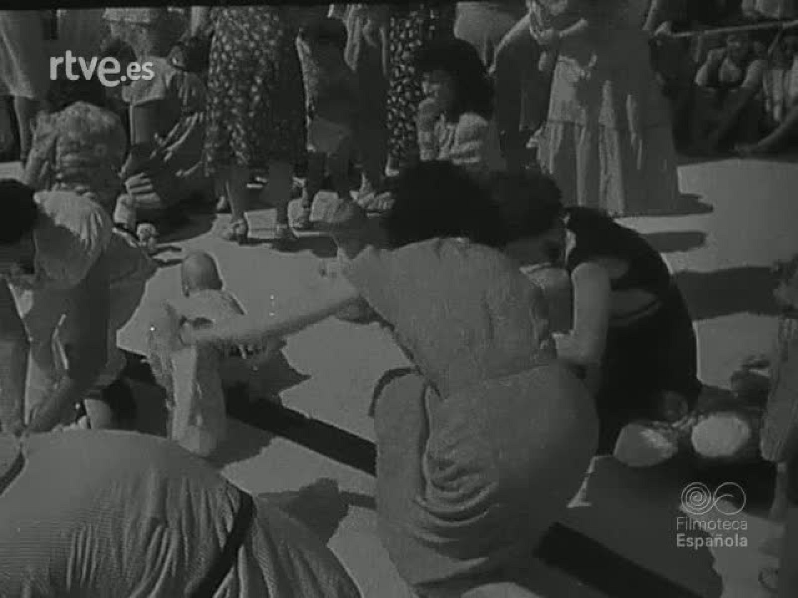 NOT N 262 B - NO-DO | Ver