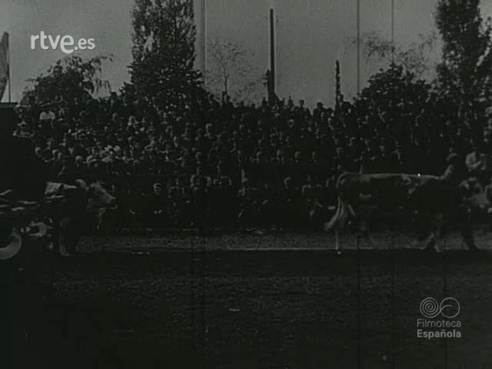 NOT N 46 B - NO-DO | Ver