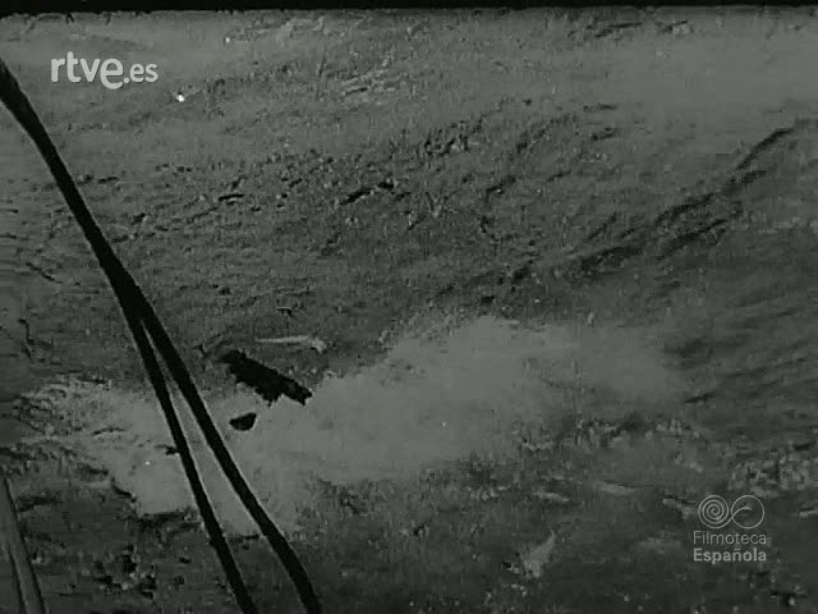 NOT N 262 A - NO-DO | Ver