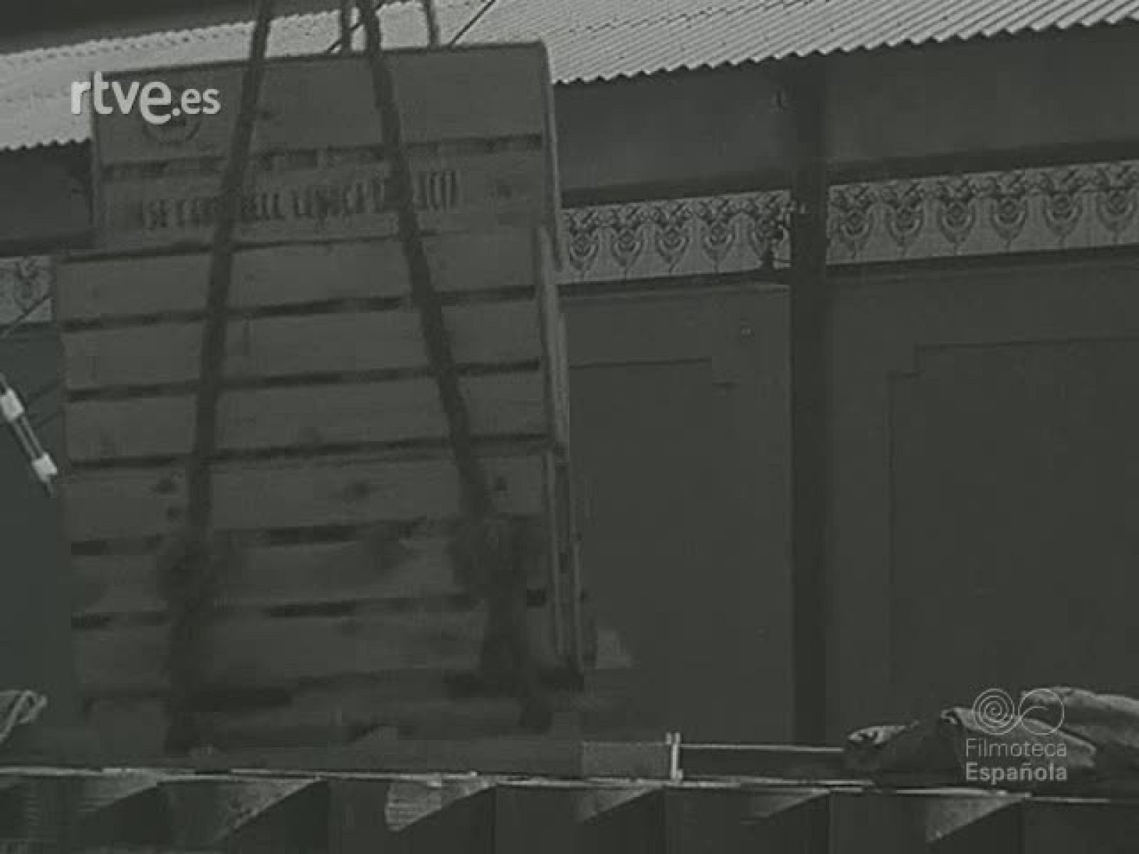 NOT N 264 B - NO-DO | Ver