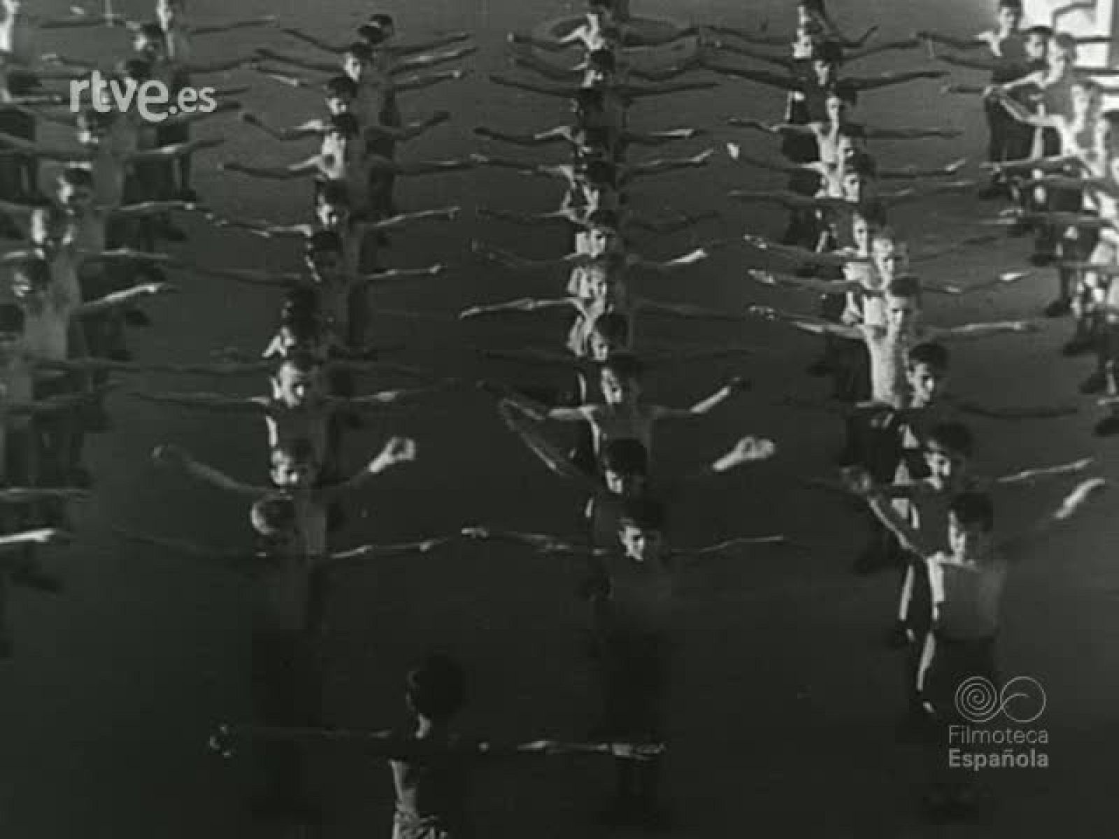 NOT N 45 B - NO-DO | Ver