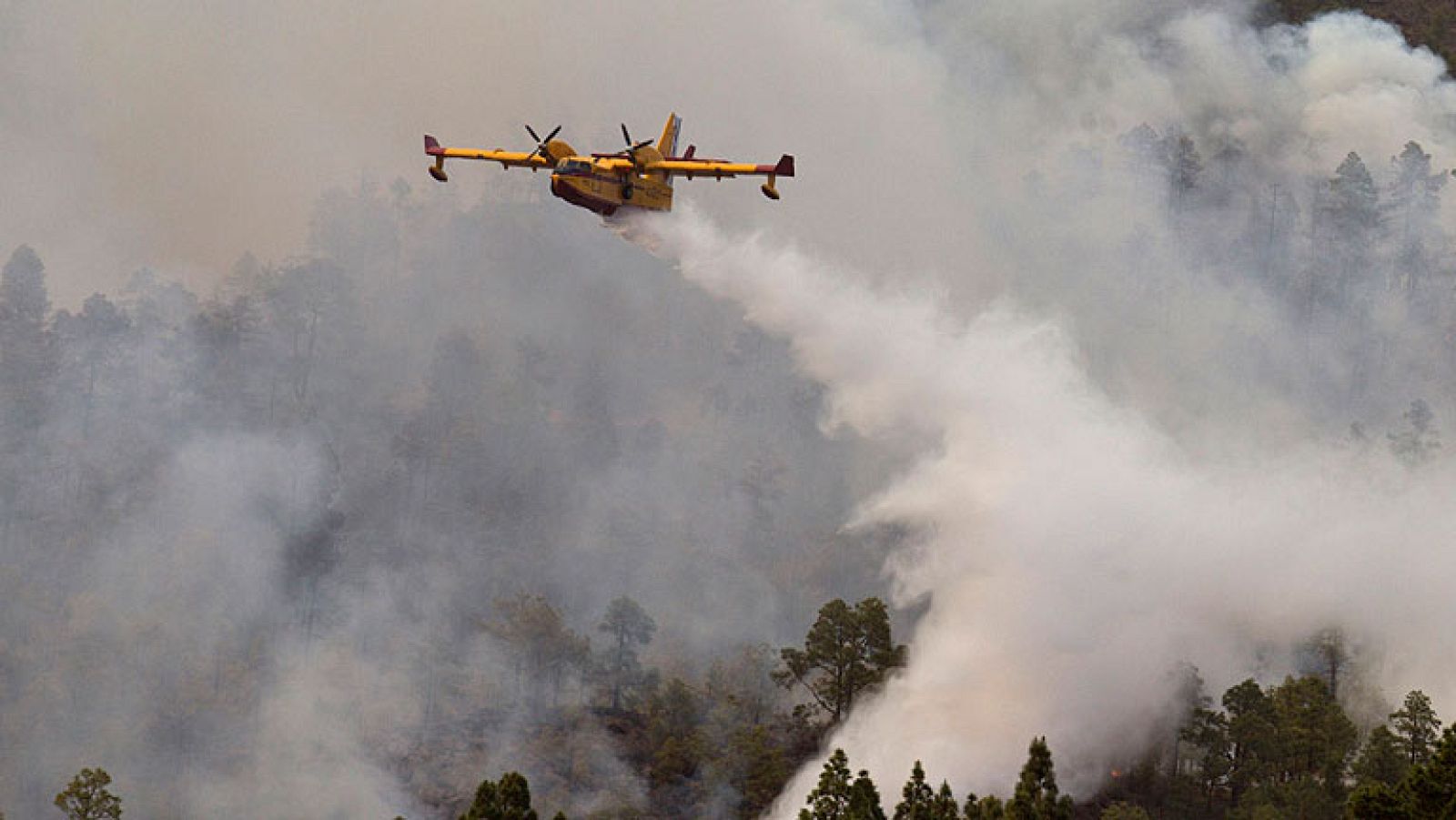 Canarias redobla los esfuerzos contra el fuego, que ya ha alcanzado el Teide