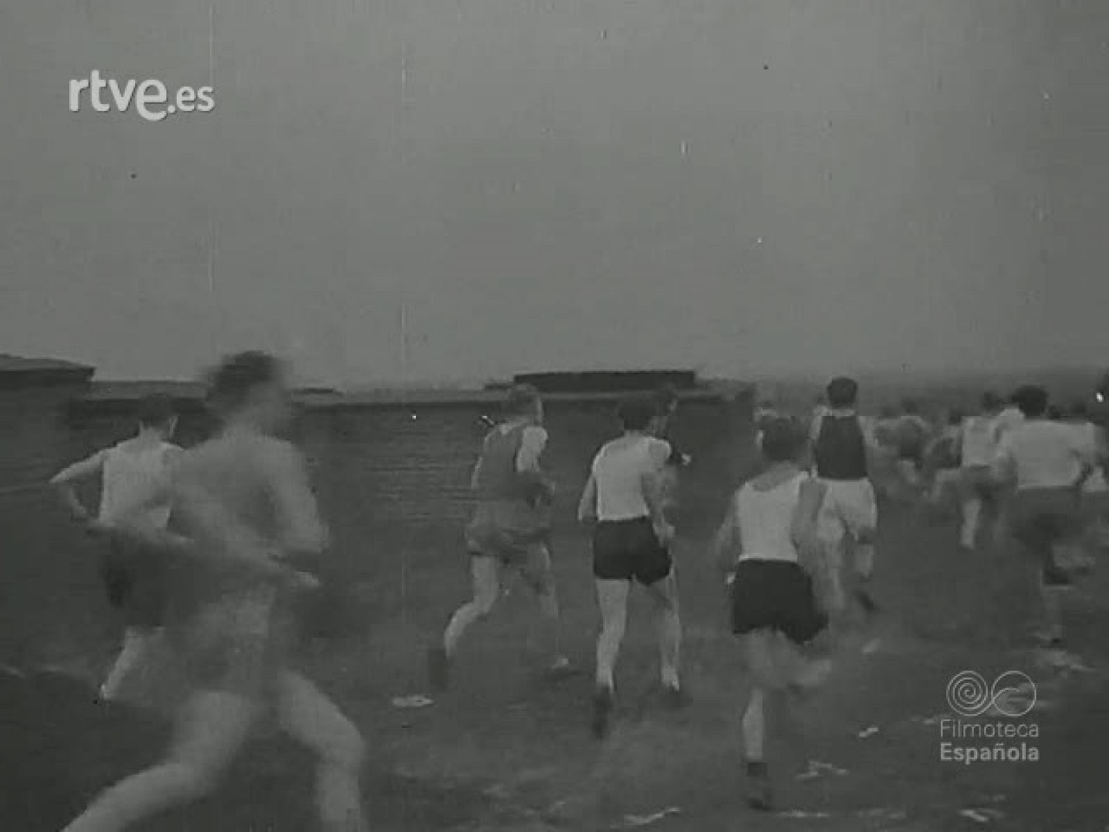 NOT N 261 A - NO-DO | Ver