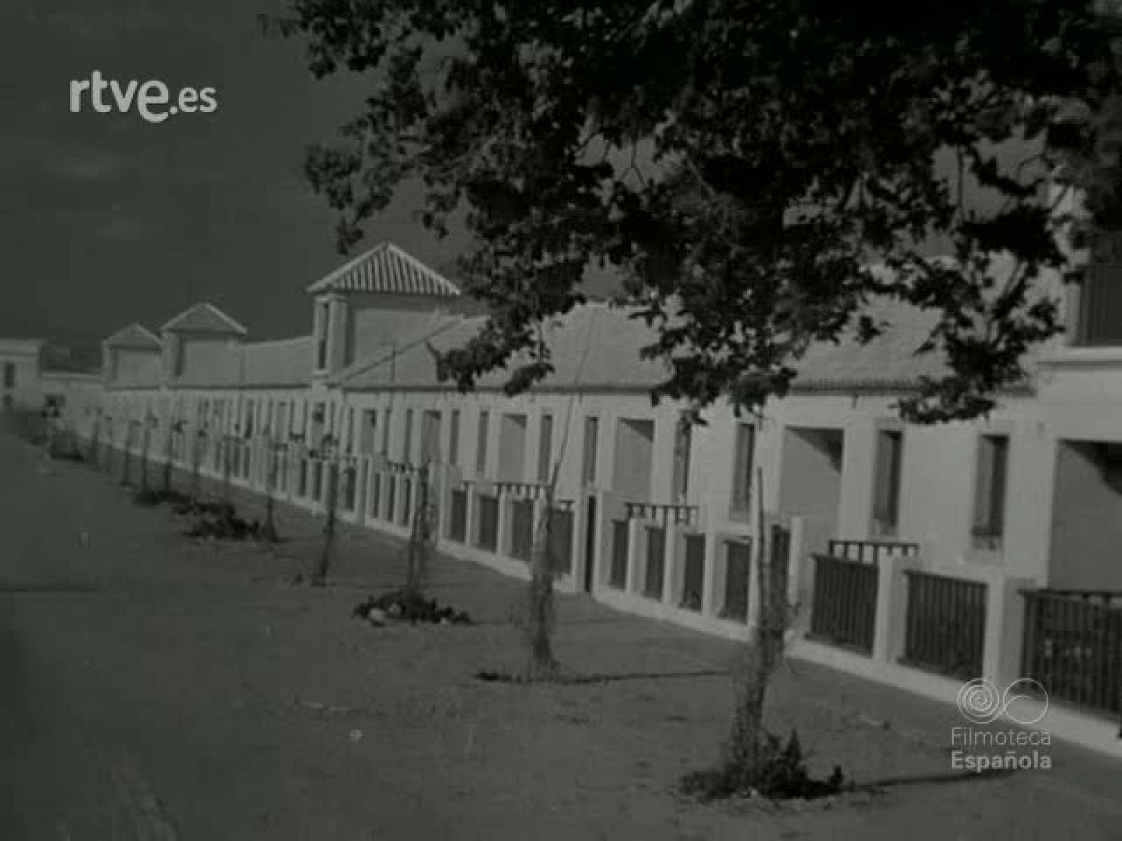 NOT N 336 A - NO-DO | Ver