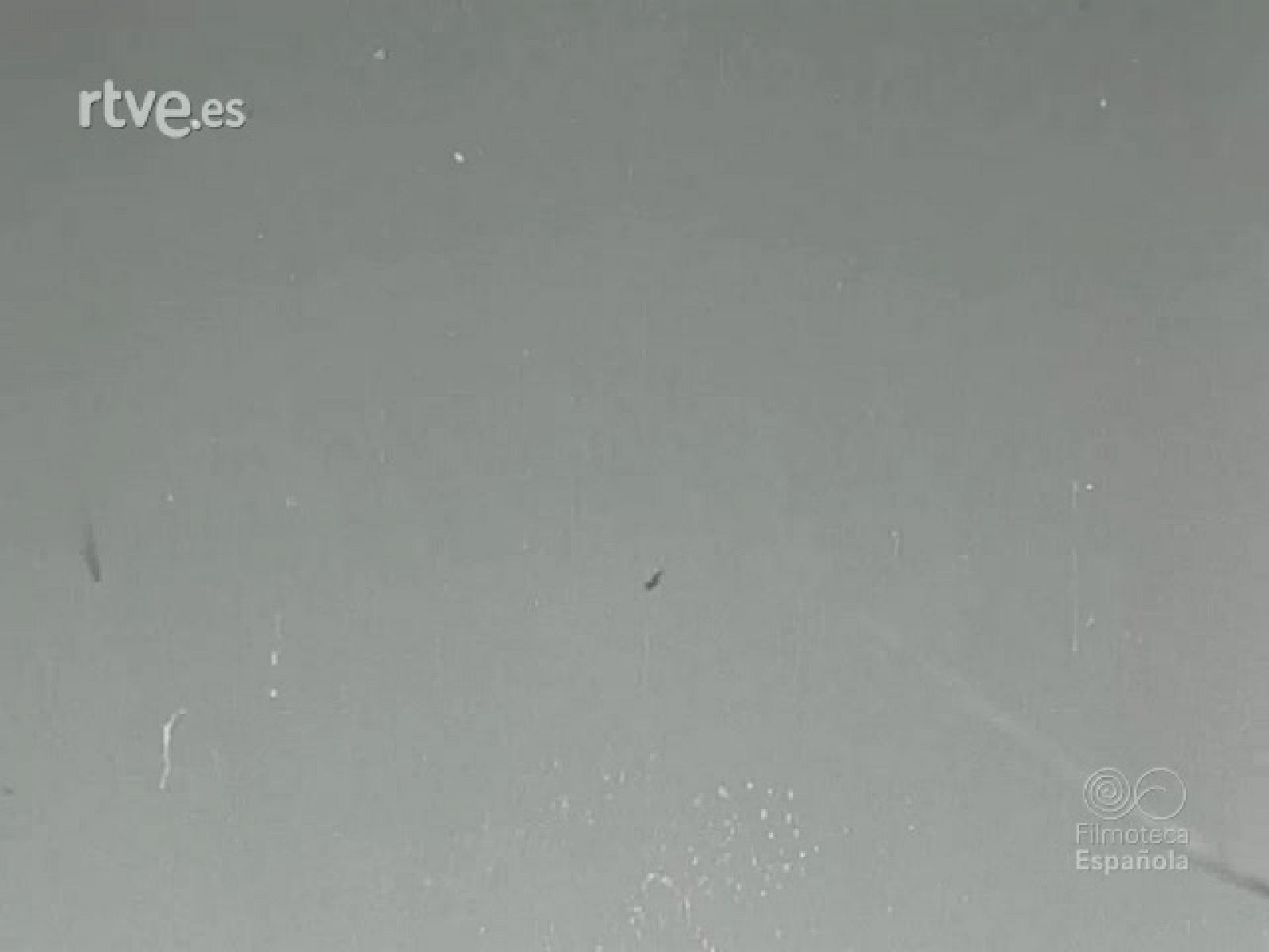 NOT N 365 A - NO-DO | Ver