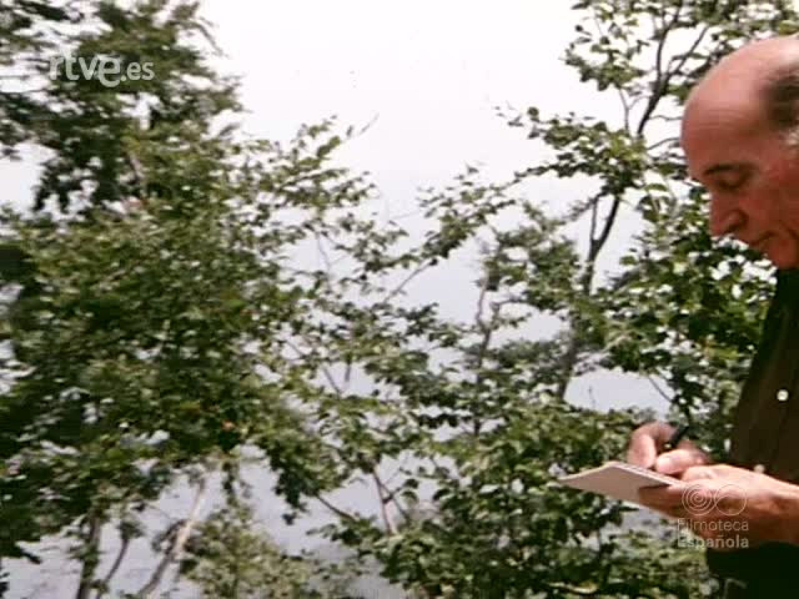 NOT N 1905 . - NO-DO | Ver