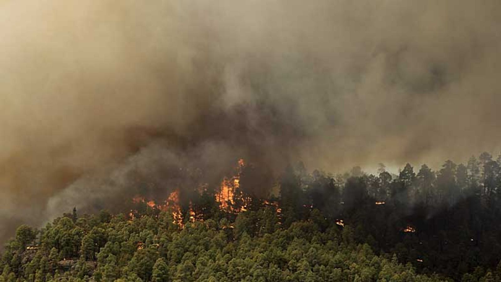 En Tenerife, el fuego obliga a desalojar a los vecinos de Chirche