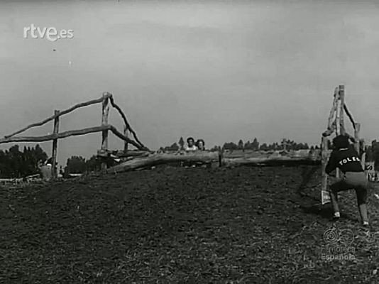 NO-DO - NOT N 1678 B