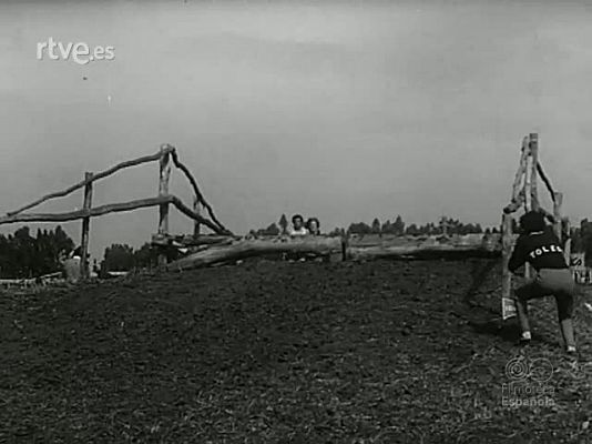 NO-DO - NOT N 1678 B