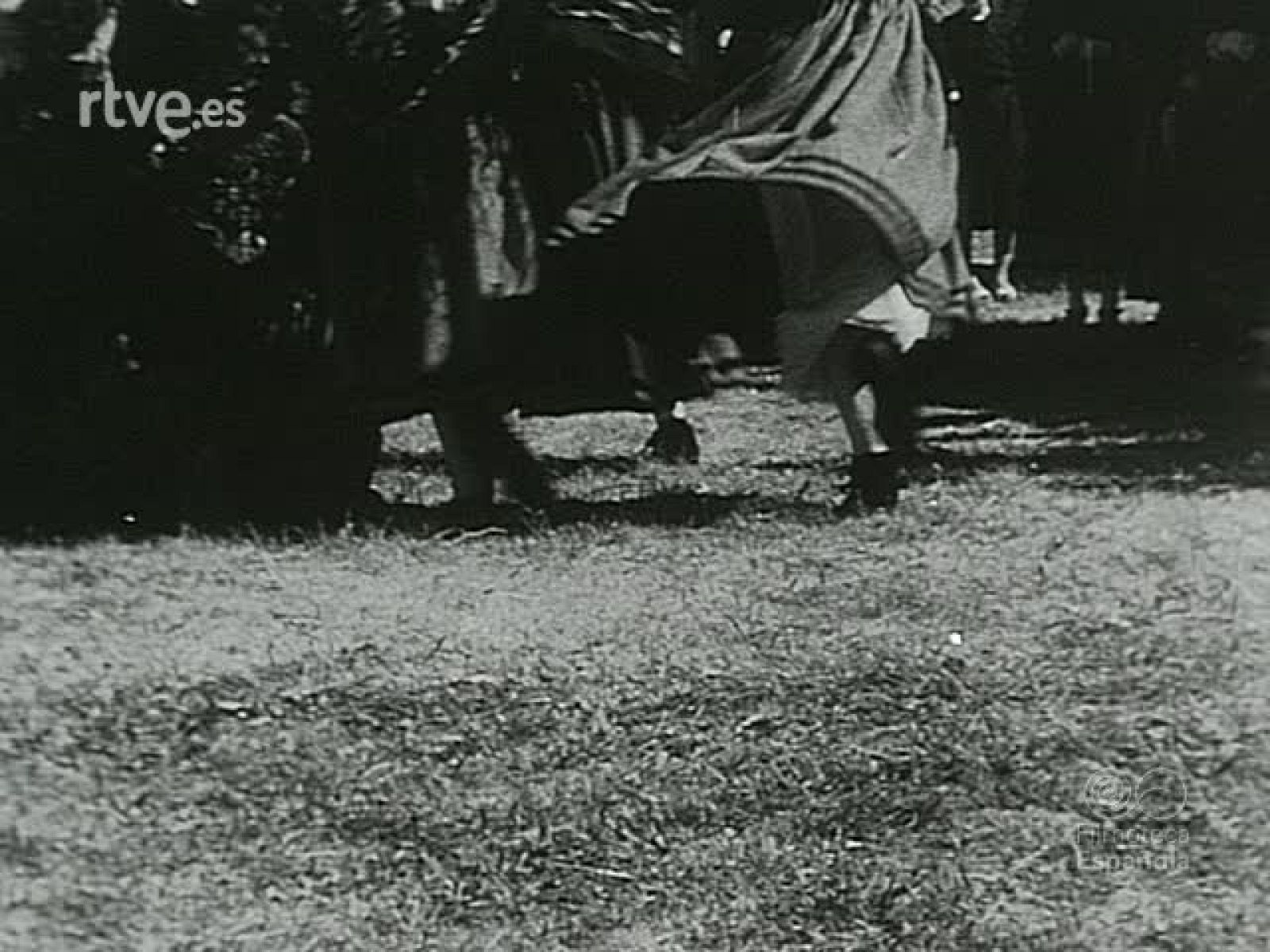 NOT N 28 B - NO-DO | Ver