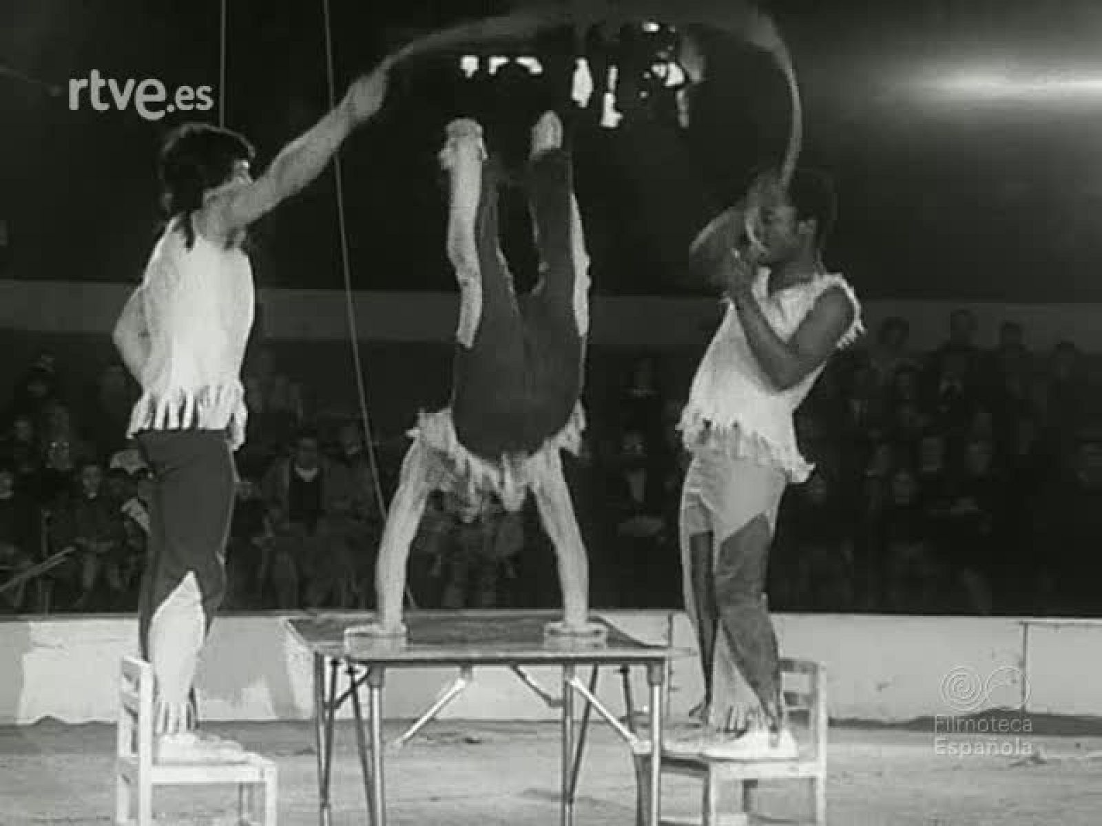 NOT N 1677 A - NO-DO | Ver