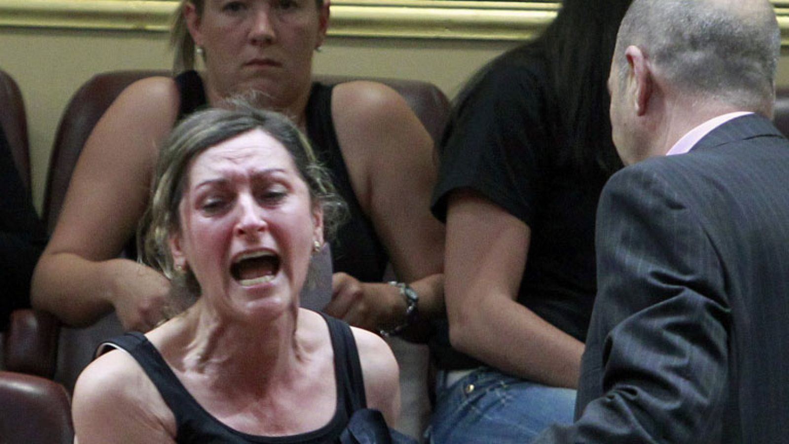 La policía ha desalojado de la tribuna de invitados del Congreso a un grupo de mujeres trabajadoras de la minería y esposas y familiares de mineros del carbón que han interrumpido con gritos el debate que se estaba desarrollando en el hemiciclo semivacío sobre la continuidad de esa actividad.El incidente ha comenzado cuando una de las mujeres, minera prejubilada, se ha levantado del asiento y ha llamado "mentiroso" al diputado del PP Rafael Hernando, cuando éste se refería a la protección social que tienen los mineros.