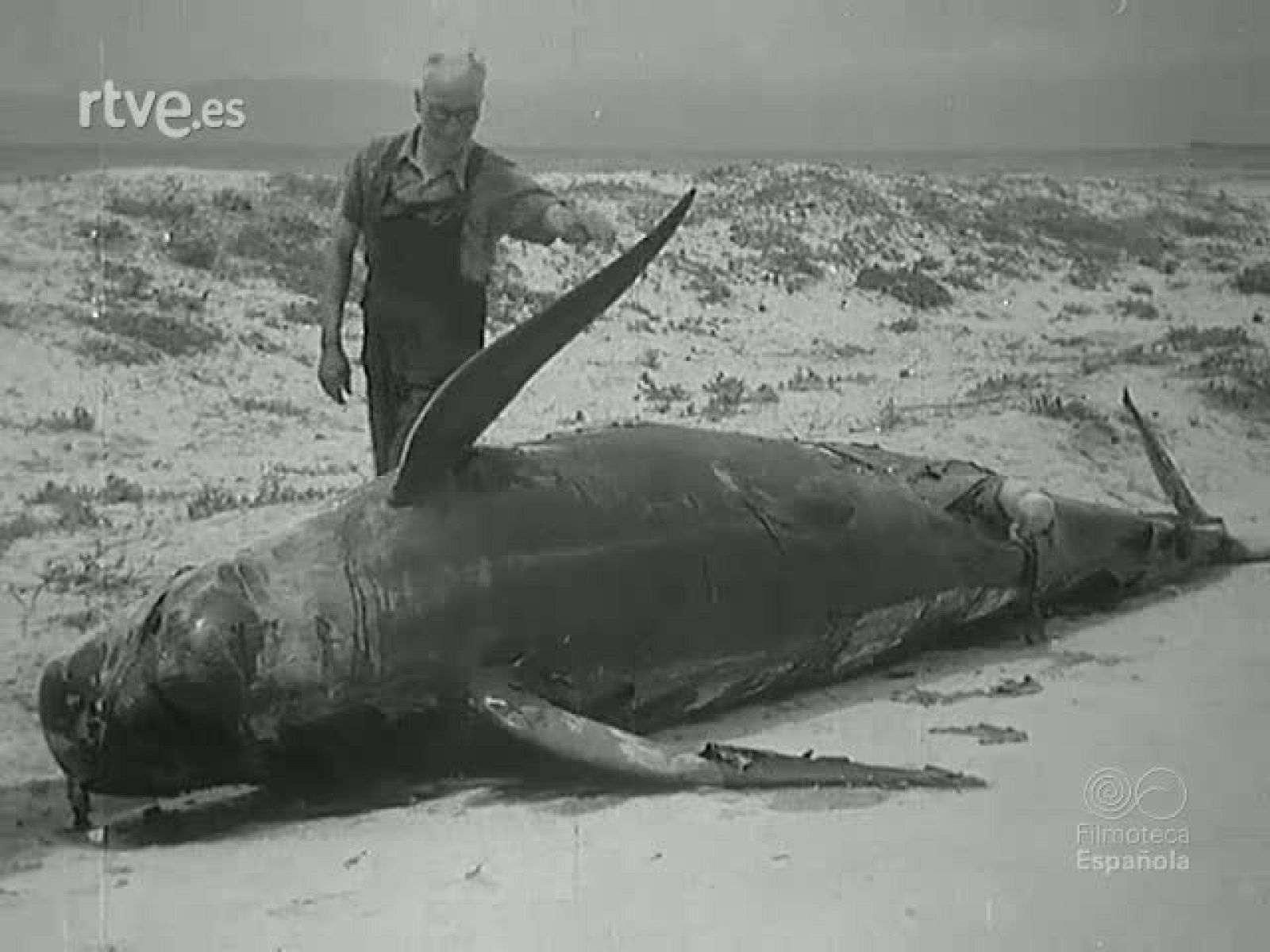 NOT N 287 A - NO-DO | Ver