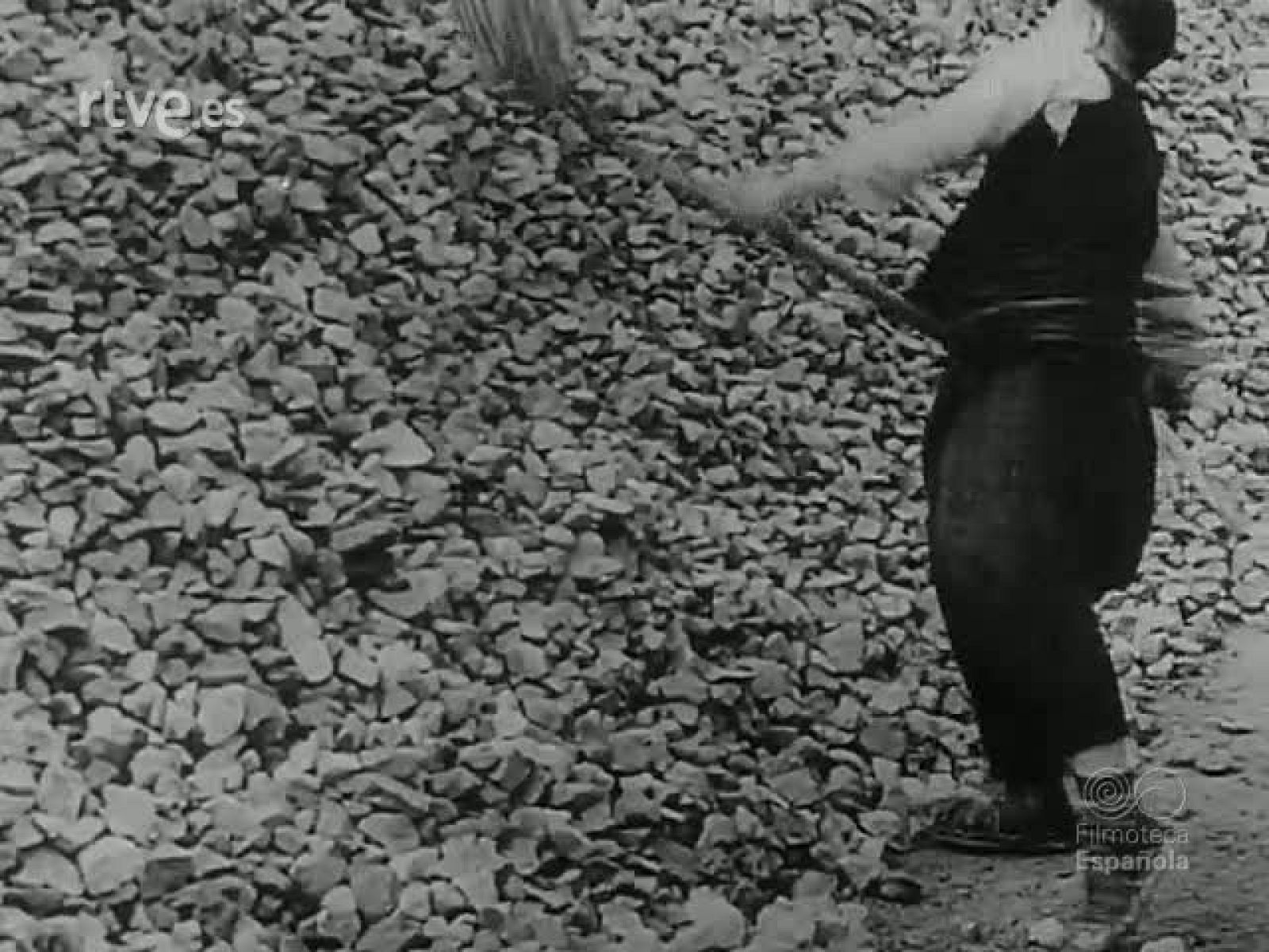 NOT N 65 B - NO-DO | Ver