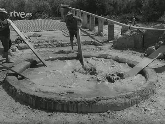 NO-DO - NOT N 1704 B